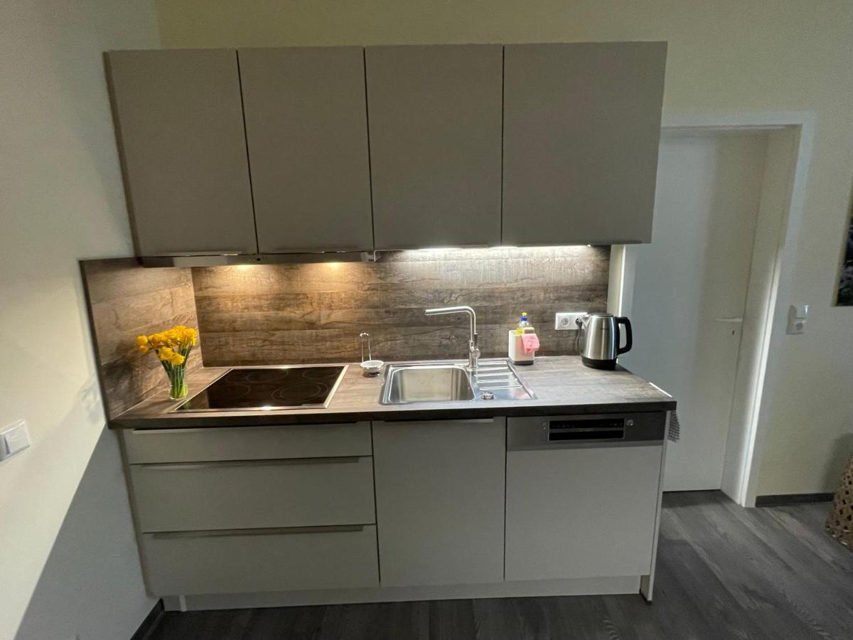 Elisabett Erfurt - Apartment Elisa - 4 Schlafzimmer Und 2 Baeder, Bis 6 Personen Buitenkant foto